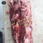 پخش گوشت شهرام