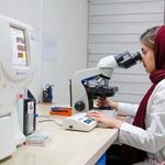 آزمایشگاه دامپزشکی لابرا