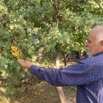 تره بار فروشی برادران رحیمی