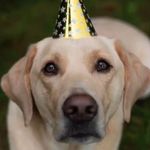 پانسیون خانگی موکا