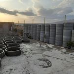 کول میرزایی