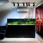 متخصص ساخت انواع آکواریوم و تراریوم