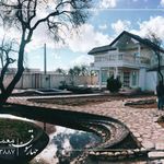 چهارسوق - طراحی محوطه بر پایه ی گیاه