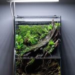 متخصص ساخت انواع آکواریوم و تراریوم