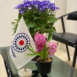 مشاور و فروشنده بیمه