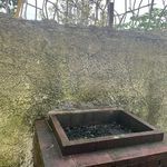 میزبان ویلا