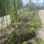 میزبان ویلا