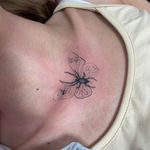 سالن زیبایی و سولاریوم (بانوان) مهیسا