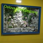 طراحی و اجرای آکواریوم آب شور