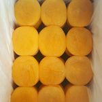 خشکبار دادلی