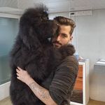 آرایشگاه حیوانات خانگی ادریس پت گرومینگ