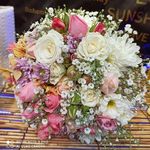 گلکده لیلاک