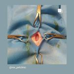 کلینیک دامپزشکی رکس