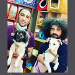 کلینیک دامپزشکی رکس