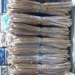 کالای خواب دلنیا