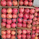 بستنی فروشی و ویتامینه وانیلا