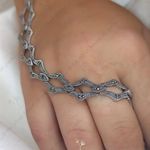 نقره سرای پاریس