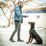 مربی تربیت سگ شفق دیوان پور