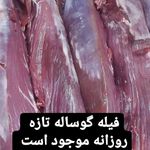پخش گوشت گوساله و گوسفند