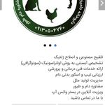 مرکز تخصصی تلقیح مصنوعی،تولید مثل اصلاح ژنتیک و مشاوره دام طیور