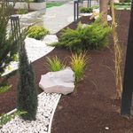 کلیه خدمات فضای سبز  آبیاری قطره ای