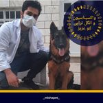 دامپزشکی سیار و شبانه روری دکتر دولت آبادی