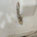 تعمیر و جوشکاری مخزن پلی اتیلن