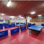 باشگاه تنیس روی میز کینگ پنگ