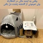 کلینیک روانشناسی باور (قوه قضائیه)
