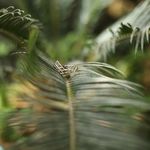 استودیو فیلم و عکس ژست