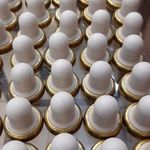 تجهیزات ازمایشگاهی تبریز