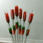 کافی نت خورشید