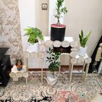 نصاب دکوراسین داخلی  صفر تا صد محسن