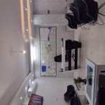 تیم کارشناسان املاک ناظم