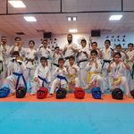 کلاس‌های شطرنج و کاراته فرحمند