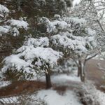 رایان صنعت تولید کننده پرس پرچ مالشی