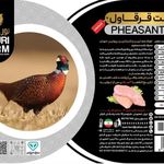 پرورش قرقاول و کبک