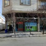 لبنیات محلی پاک شیر