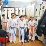 آکادمی کیوکوشین کاراته