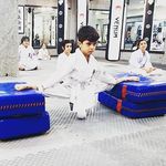 آکادمی کیوکوشین کاراته