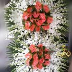 گلفروشی جیران