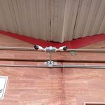 گروه فنی مهندسی دیده بان