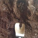 تولید خاک و خاک برگ عظیمی