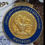 گروه تولیدی مدال آریا