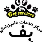 کلینیک دامپزشکی پت شاپ دنیا حیوانات
