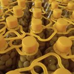 محصولات ارگانیک حصاری