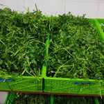 سبزی سرای میزبان2