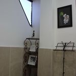 آموزشگاه موسیقی میرداماد