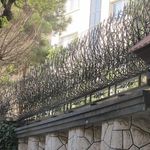 حفاظ شاخ گوزنی کاظم پور