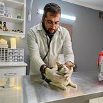 کلینیک دامپزشکی و پت شاپ اگزو